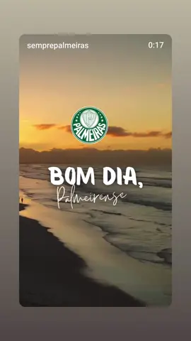 #tiktokviral #palmeirasNovopalestra #verdao #Brasil #brasil🇧🇷 