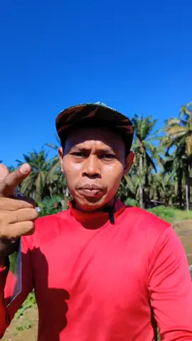 Video ini direkam pakai kamera belakang HP android di resolusi 4k/30fps dan di edit di apk VN di expor di 1080/30fps laju bit 15.0 Mbps