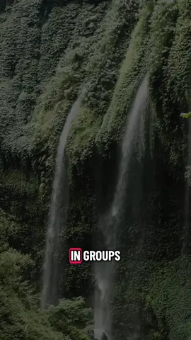 Not alone #reflexion #mindset #determination #strong