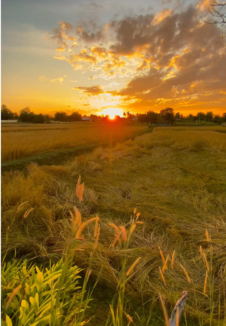 ลมหนาวผ่านมา ห่มผ้าหนาๆยามนอน.. #รับโปรโมทเพลง #วิวบ้านนอก🍃 #ท้องฟ้า⛅🌈 #สตอรี่ความรู้สึก 