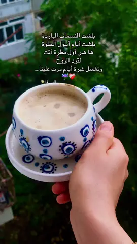 بلشت مطرات أيلول الحلوة😍❤️‍🩹#فولو_اكسبلور #explore #تركيا #foryou #مطر 