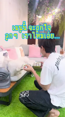 เมนูวันนี้ ถูกใจนายจ๋าไหมน๊าา …#นําเข้ามินิบิชอง #บิชองพู #บิชองฟริเซ่ #ฮีโร่ปอม 