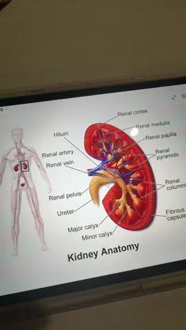 #medschool #student #طالبة_طب #دراسة #ArabTikTok 