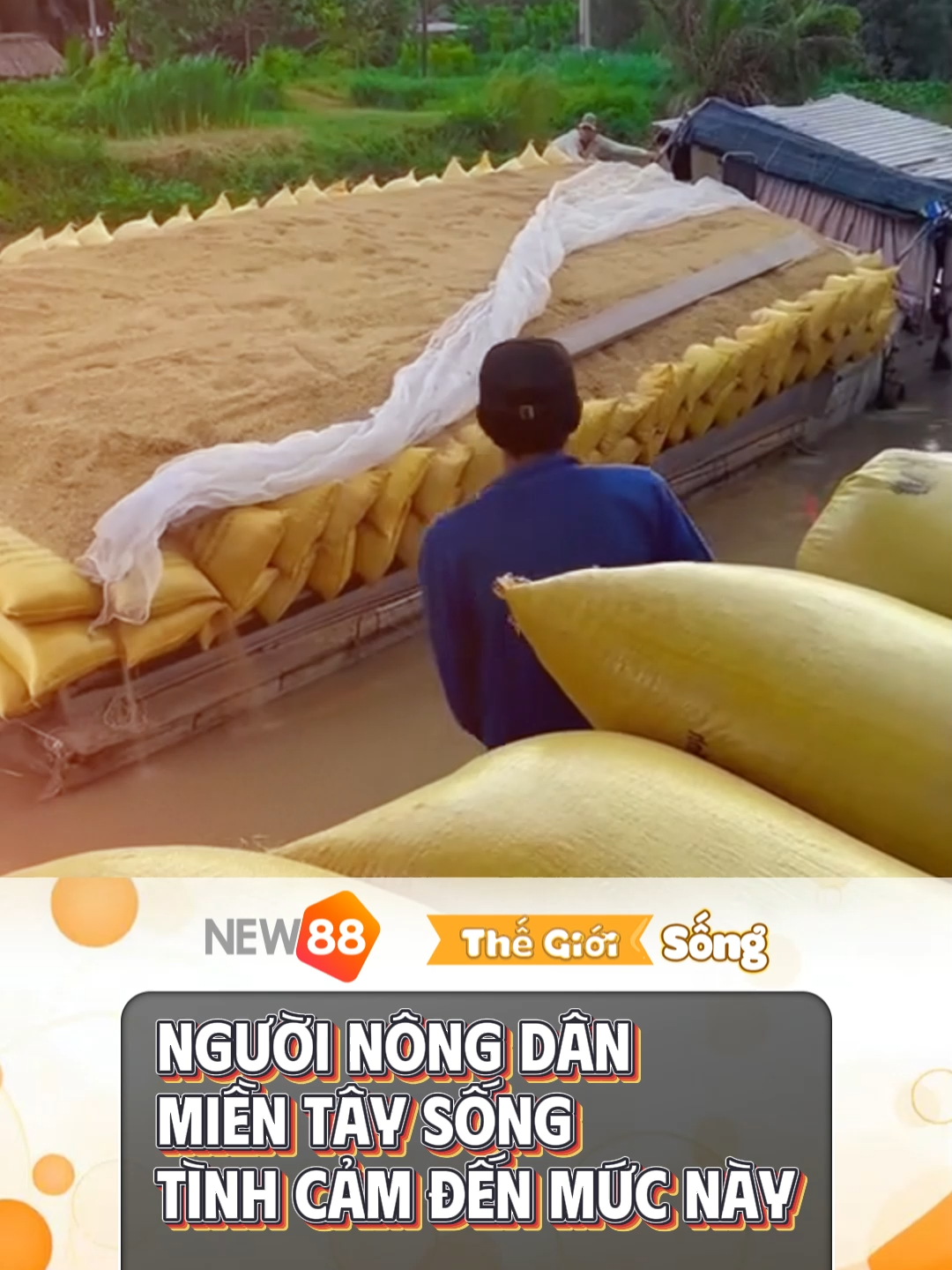 Người Miền Tây sống quá tình cảm. #thegioisong #xahoi #doisong #fyp #foryou