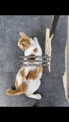 👩🏻‍🦯‍➡️