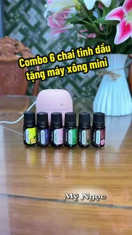Combo 6 chai tinh dầu 10ml tặng kèm máy xông mini #myngoc #tinhdau #tinhdauthomphong #mayxongtinhdau #decor 