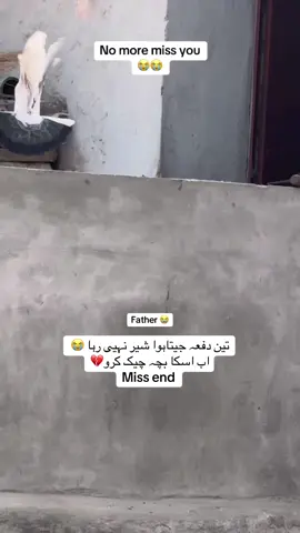 اس وڈیو کو سب دوست repost کرو شکریہ ❤️جہاں رہو آباد رہو ❤️✌️#simple #morga #unfrezzmyaccount #viralvideo #sadfeeling😥 