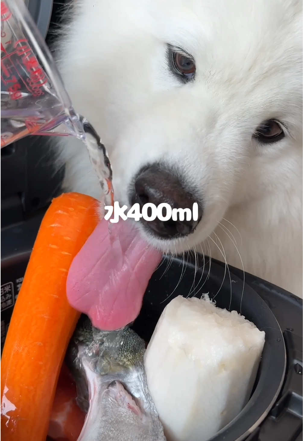 魚のアラ汁つくったら爆食してくれました！