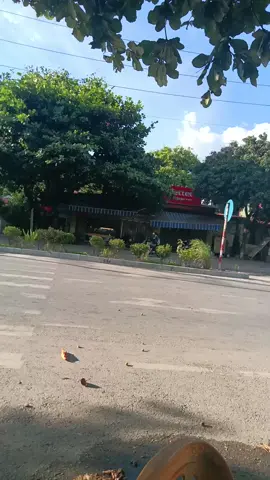 #xuhuongmoitiktok  cùng trường kkk