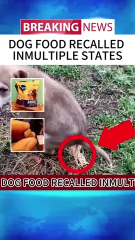 DOG FOOD RECALLEDINMULTIPLE STATES#news #breakingnews #foryou #fyp #tiktoknews