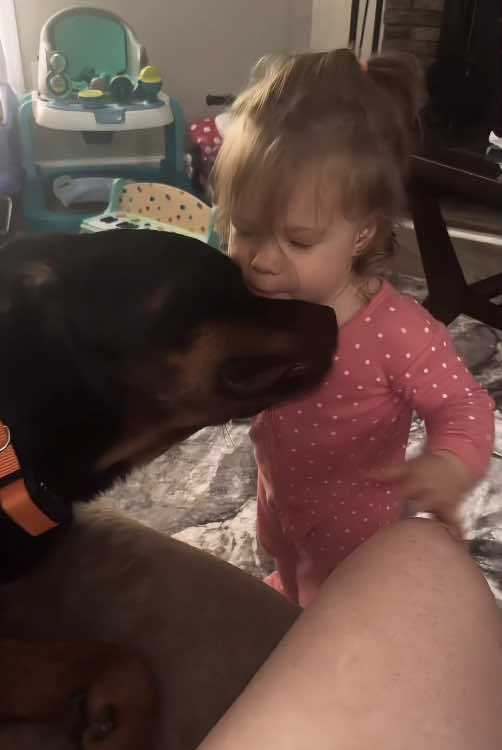 Baby's love of 🐶👶🏻🥰#dog #baby #Love #fyp #foryou #tiktok #doglife #cutebaby 