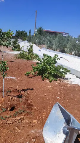 #مشاھدات #الشعب_الصيني_ماله_حل😂😂 #هههههههههههههههههههههههههههههههههههههه #السعودية #هاشتاق 