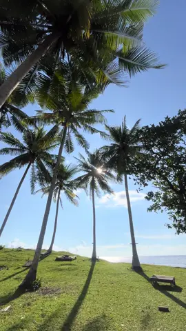 #pesisirpantai #pasangkayu #fyp 