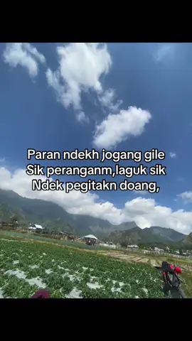 Stres sik manusie skek_ #masukberandamu#4u#darelombok#fypppp 