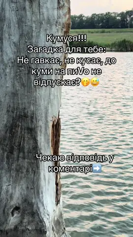 Кумуся!!! Чекаю відповідь у коментарі 🤭😅 #кума #кумася #рекомендации #рекомендації #❤️ 