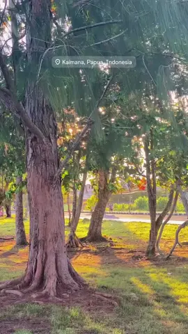 bantemi kaimana #kaimana #kaimanapapuabarat #kaimanakotasenja #videokaimana #fyp 