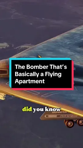 The Bomber That’s Basically a Flying Apartment#usa🇺🇸 #foyou #tiktok #fyp #b2 #usa 