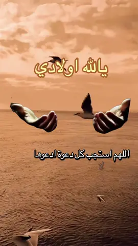 دعاء جميل جدا لأولادي 🤲 #دعاء #دعاء_جميل #اولادي #يارب #اللهم_امين_يارب_العالمين  