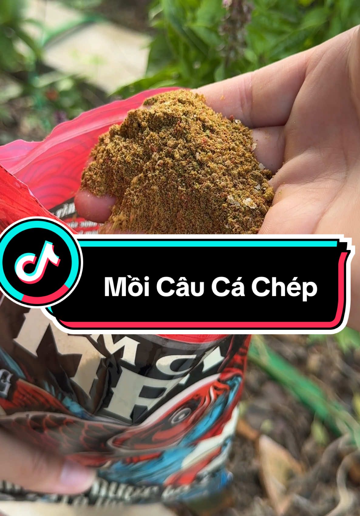 Mồi Câu Cá Chép Đầy Đủ Thành Phần #caucagiaitri #cauca #caucatunhien 