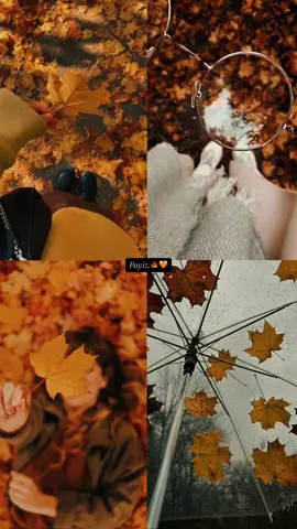Payiz 🍂🍁🧡🤎#fypシ゚ #viral #foryou #tiktok #selwa🦋 