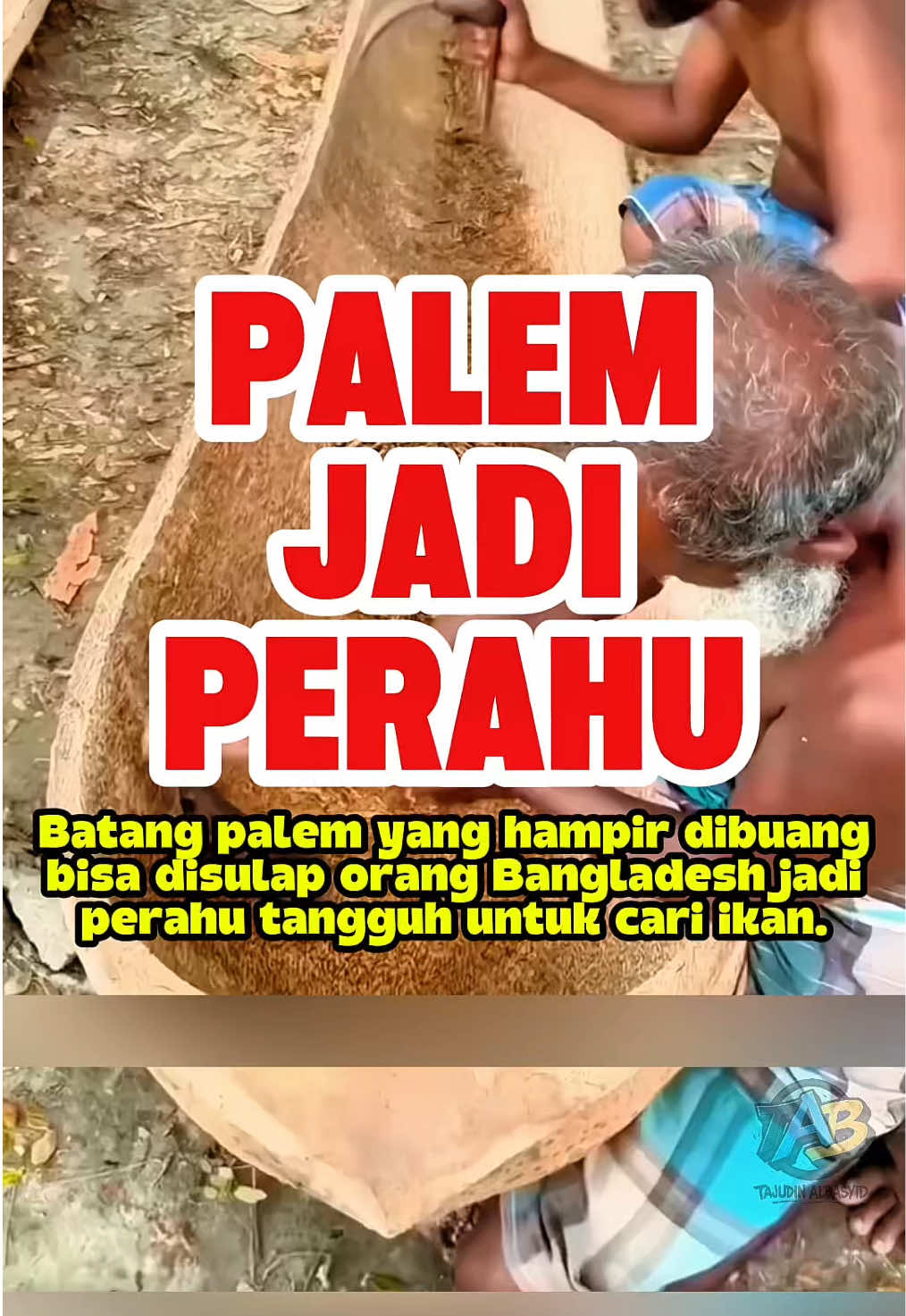 Di Bangladesh ada kreativitas unik, membuat perahu dari pohon palem. Luar biasa. #fyp #faktaunik #DidYouKnow #faktamenarik #perahu 