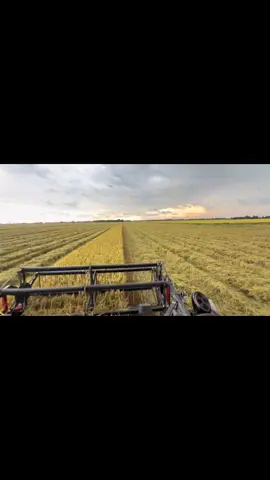 1 người như anh làm sao biết yêu thật lòng ☺️ 