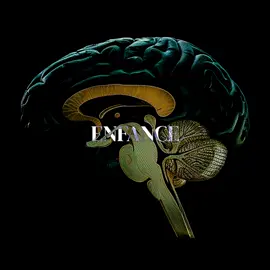 Grandir sans attention suffisante ne disparaît pas avec l’âge. Le cerveau en garde la trace. L’amygdale reste en hyperactivité, le cortex préfrontal peine à calmer les réactions, et chaque silence ou signe d’indifférence peut être vécu comme une menace. Derrière les comportements d’isolement ou la quête excessive d’approbation, il y a le même schéma : la peur d’être encore négligé. Ce n’est pas du caractère, c’est une empreinte neuronale forgée dès l’enfance. Alors, le manque d’attention dans l’enfance doit-il être considéré comme une blessure individuelle à réparer… ou comme une responsabilité collective que la société devrait mieux prévenir et accompagner ? #psychologie #cerveau #enfance #neuroscience #neuroscience 