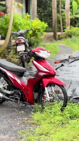 Xe idol nào đây 🌚#xuhuong 