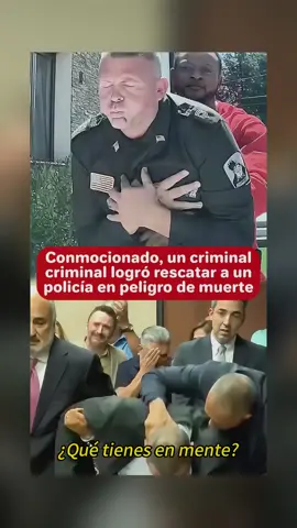 #spanglish #fyp #crimen #greenscreen #tiktok 