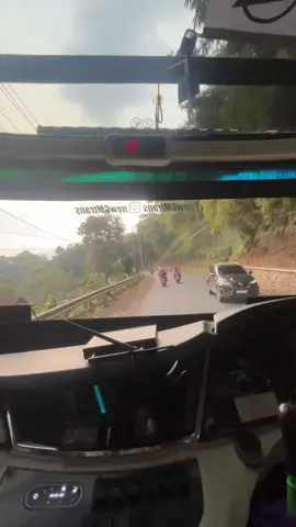 Hoyong bukit berbunga ceunah#busmania #newgmtrans @Psshopiani🦄 @Aden Curly @Zeta Advanced Tech @Zeta Project 