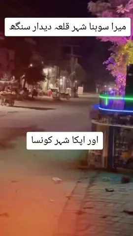 قلعہ دیدار سنگھ کی خوبصورتی میں اضافہ🌹🌴 I ♥ QDS#standwithkashmir #qilabrand✌️ #trendingvideo #viwesproblem #hellotiktok 