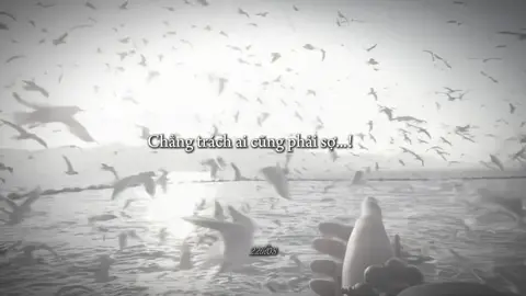 Những cánh hoa rơi theo dòng nước mắt, ngày đã hoá thành mưa rồi...!#xuhuong #09th02_8 #viral #thinhhanh #tamtrang 