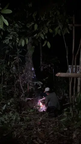 Enaknya suasana malam dihutan#camping #bermalamdihutan 