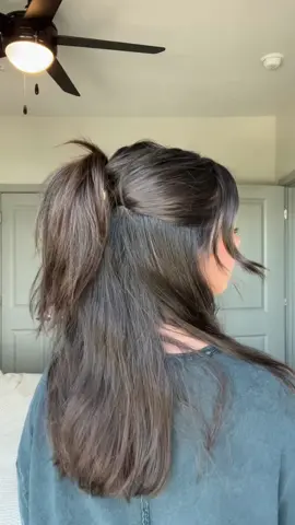 day 11: another quick and easy hairstyle for when you’re running late! (My clip is from @TJ Maxx)  #hairtok #hairstyleinspo #halfuphalfdown #hairtutorial #simplehairstyle 