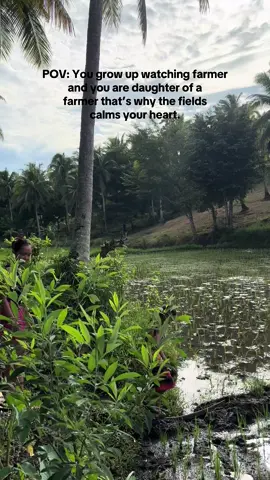 Buhay Probinsya💚🌿🍃 #farmlife #probinsyana #pfypシ 