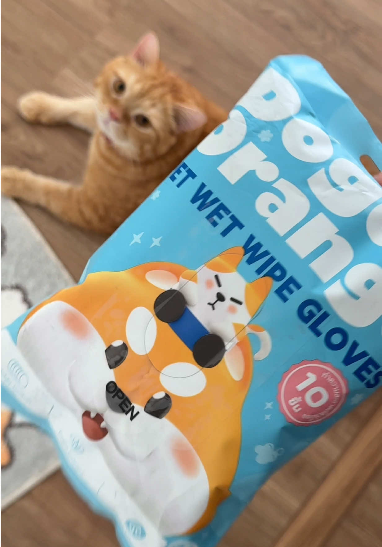 3 ขวบแล้ว แต่อาบน้ำไม่ถึง 5 ครั้ง 😂 #Doge&Orange #ถุงมืออาบน้ำสัตว์#ถุงมืออาบน้ําสัตว์ #สัตว์เลี้ยง