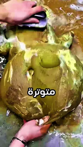أكلت هواء 😂😭🤣  #موقف #مواقف_مضحكه #fyp #قصة #قصص_واقعية 