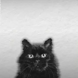 Ketika konsekuensi hilang  - Voice by : @droomp1  - Source : PLOT: Game Ini Menghakimimu | Bloodmoney! (All Endings) - #motivation #edits #filosofi #fypシ #typography 