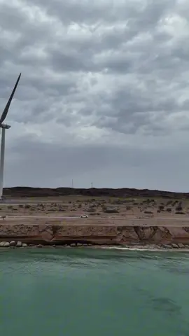 دلـمـا 🤍                                   #explore #abudhabi 