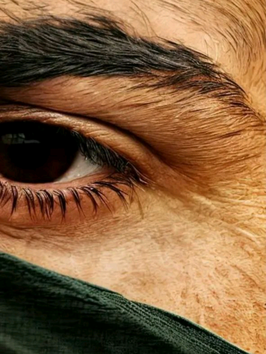 #تصميم_فيديوهات🎶🎤🎬 #انشوت_برنامج_تصميم #نودفيد #الامام_علي_بن_أبي_طالب_؏💙🔥 