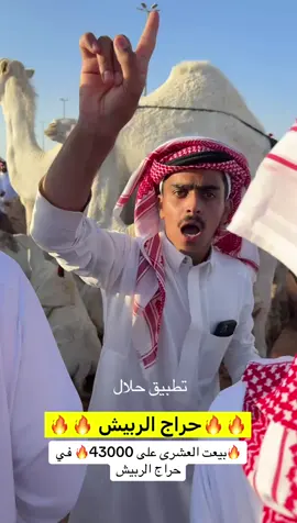 #تطبيق_حلال #اكسبلور #الرياض_الآن #الابل 