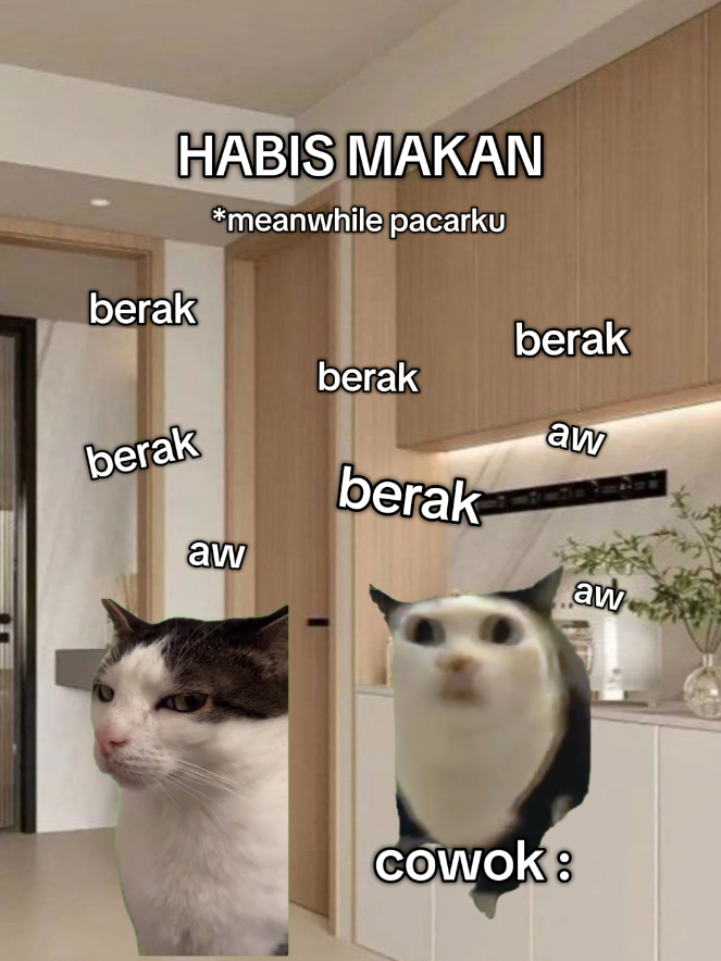 guys bantu report akun yg aku sematkan di postingan terbaru dong🥺🙏🏻 sehari bisa pup sampai 4x 🥲  #foryou #meme #kucing #anvoidr #fyp 