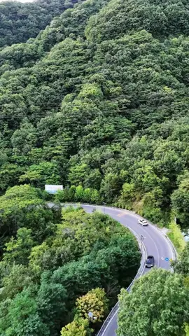 Encantos da antiga cidade de Pingqian Pântano entre as nuvens, nove lagos no céu — vamos conhecer juntos a antiga cidade de Pingqian. 🌿✨ #BelezasNaturais #ChinaHistórica #DescubraPingqian #viralizarnotiktok #tiktok 