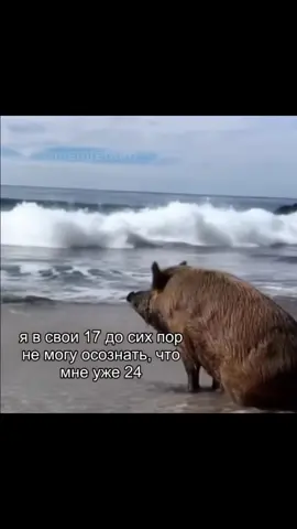 на сколько лет чувствуете себя?  #pov #рек #мем #жиза #fyp 