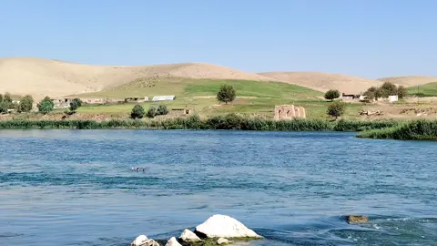 المايعرف يلاوي الروج ليش يخاطر ويغرك🦅✌🏼#اخوتي @غزوان السباح @حسين السباح @بلش 🤍🫤 