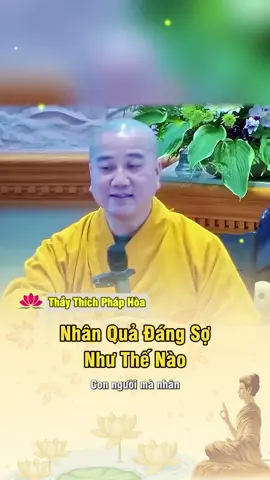 Nhân quả đáng sợ như thế nào #thichphaphoa #thayphaphoa #phatphap #xh #nghephap 