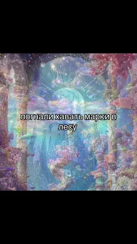 #щп 