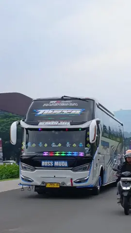bos muda#marvelputratrans #bosmuda #sentul #tasya #berkahjaya 