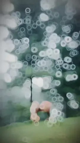 😜 #goviral #fyppppppppppppppppppppppp  @😈 ملک عرفان 😇 @VaمPire @luqman khan7 @Awaiskhan🚩 