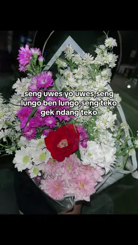 Tak jarne#fyp #jogja24jam #bunga 